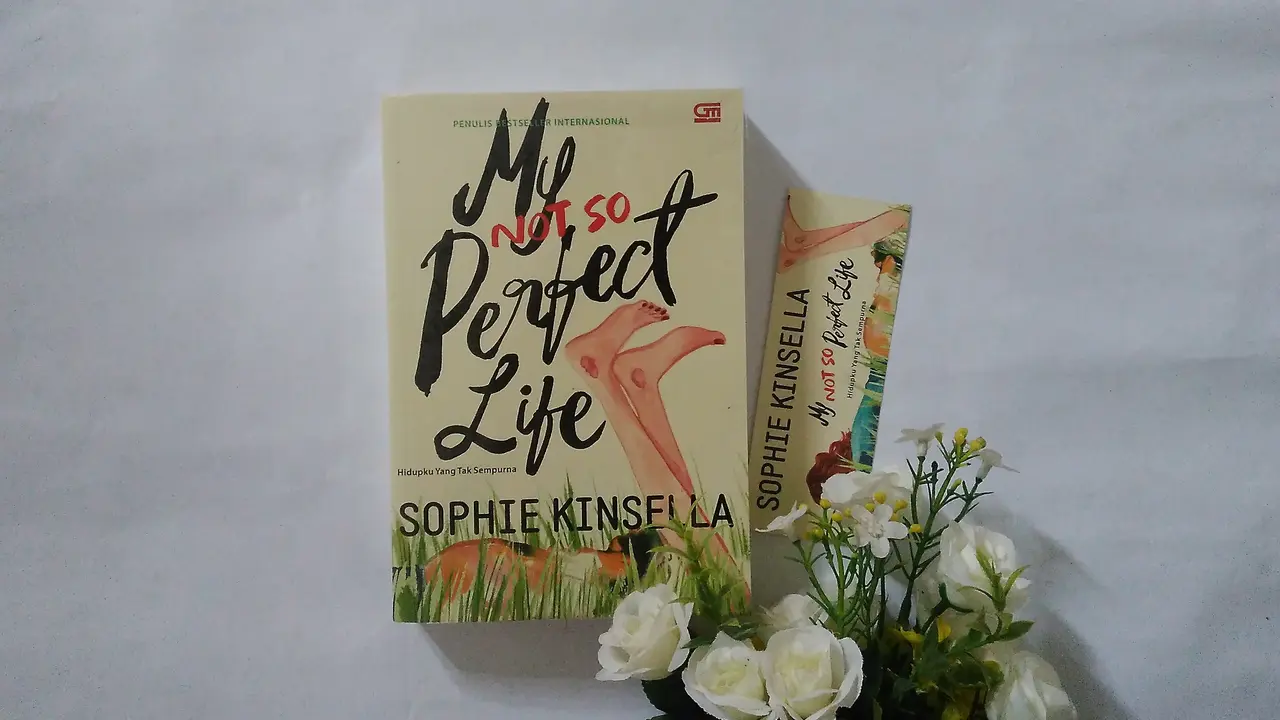 my not so perfect life HL
