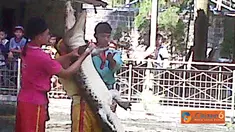 Citizen6, Badung: Selain berisi berbagai jenis buaya yang dapat dijadikan media belajar bagi siswa, Taman Buaya ini mempunyai pertunjukan yang spektakuler. (Pengirim: Munanjar)