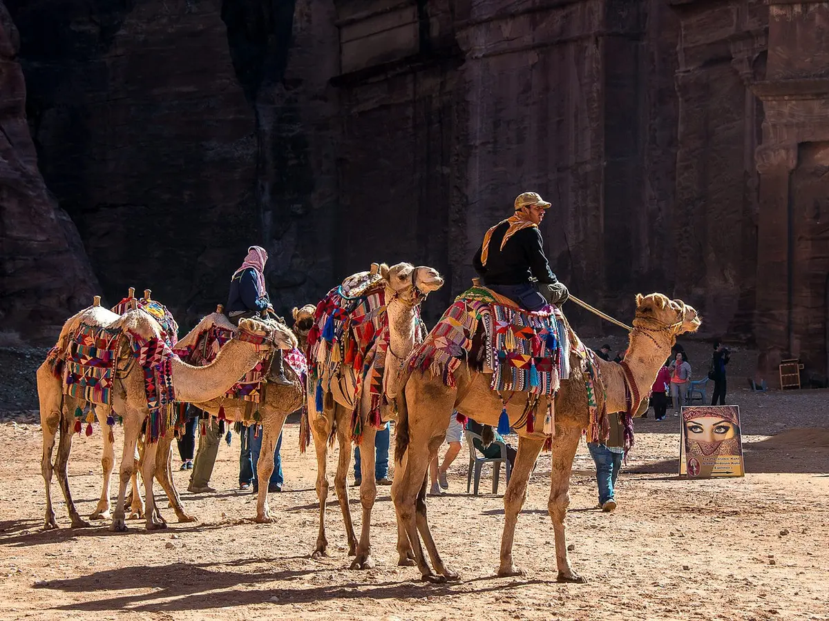 Arti Mimpi Melihat Unta: Pesan Tersembunyi Di Balik Duniawi