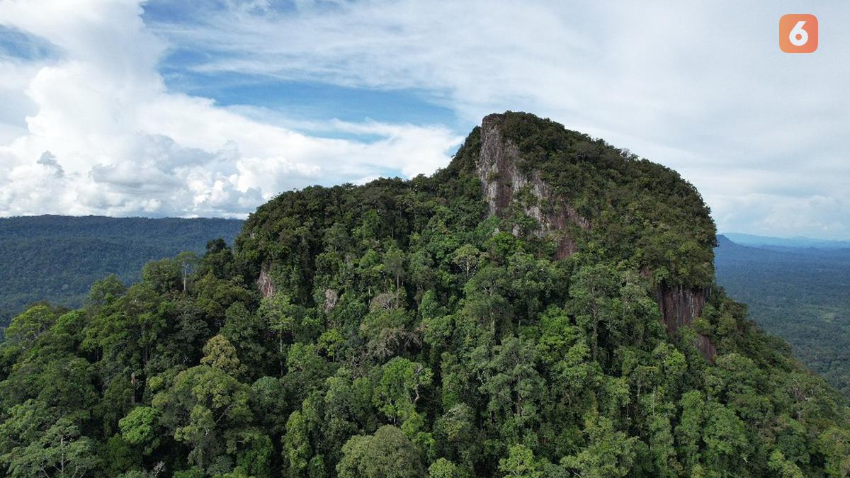 Punya Hutan Luas, Mahakam Ulu dan YKAN Dorong Pembangunan Berkelanjutan
