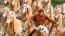 Seorang joki kuda mengatur kuda-kudanya saat menuju peternakan pejantan Haflinger di Meura, Jerman (29/4). Lebih dari 300 kuda jenis Haflinger tinggal di peternakan terbesar di Eropa tersebut. (AP Photo / Jens Meyer)