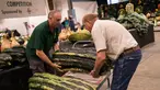 Juri memindahkan labu saat Harrogate Autumn Flower Show di Great Yorkshire Showground, Harrogate, Inggris, Jumat (16/9). Ini adalah acara paling bergengsi di Yorkshire, Inggris, yang diikuti oleh ribuan peserta. (AFP PHOTO/Oli Scarff) 