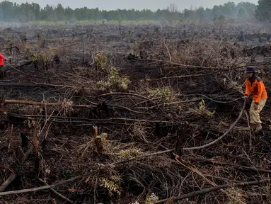 Pemadam kebakaran memadamkan api yang melalap lahan gambut di Pekanbaru, Provinsi Riau, (1/2). Lokasi ini merupakan salah satu dari 73 titik api yang terdeteksi menyebabkan kabut asap di pulau Sumatera. (AFP Photo/Wahyudi)