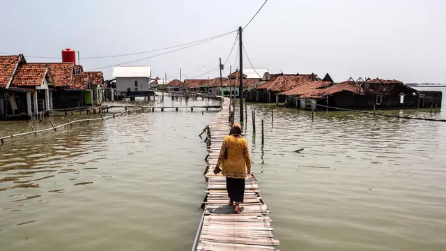 Potret Desa Timbulsloko Bertahan di Tengah Dampak Perubahan Iklim dan Penurunan Tanah