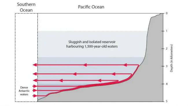 	Ilustrasi pergerakan air di Zona Bayangan. Air laut nyaris tidak bisa naik ke atas karena bentuk dasar samudra. (Sumber Fabien Roquet dan Casimir de Lavergne)