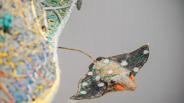 18 Karya Seni Tenun Limbah Pukat Ikat Jadi Peringatan Pentingnya Konservasi Laut Agar Bebas dari Plastik