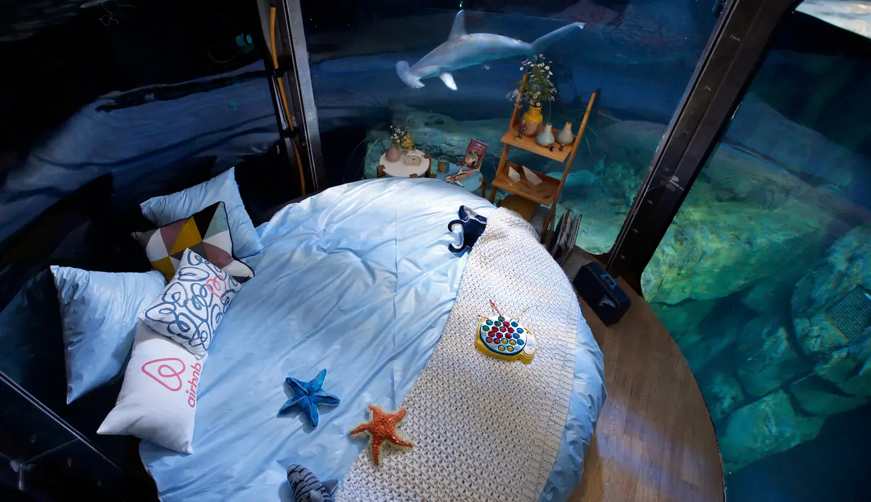 Suasana kamar hotel bawah air Aquarium of Paris, Prancis, 14 Maret 2016. Hotel yang dibuat oleh Airbnb dan Aquarium of Paris tersebut menawarkan sensasi menginap yang menegangkan dan seru. (REUTERS/Charles Platiau)