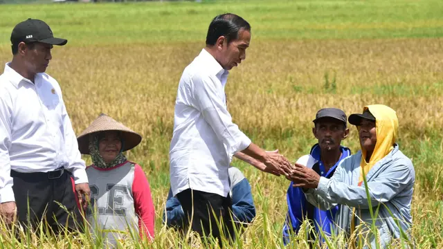 Mentan Dorong Penggunaan Mekanisasi Pertanian