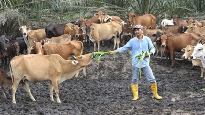 copyright worldofbuzz.com