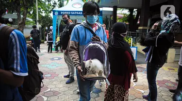 Warga membawa kucing untuk disuntik vaksin antirabies secara gratis di kawasan Tebet, Jakarta, Selasa (16/11/2021). Vaksinasi dilakukan untuk menghindari dan mengantisipasi penyebaran penyakit rabies kepada hewan peliharaan. (Liputan6.com/Faizal Fanani)