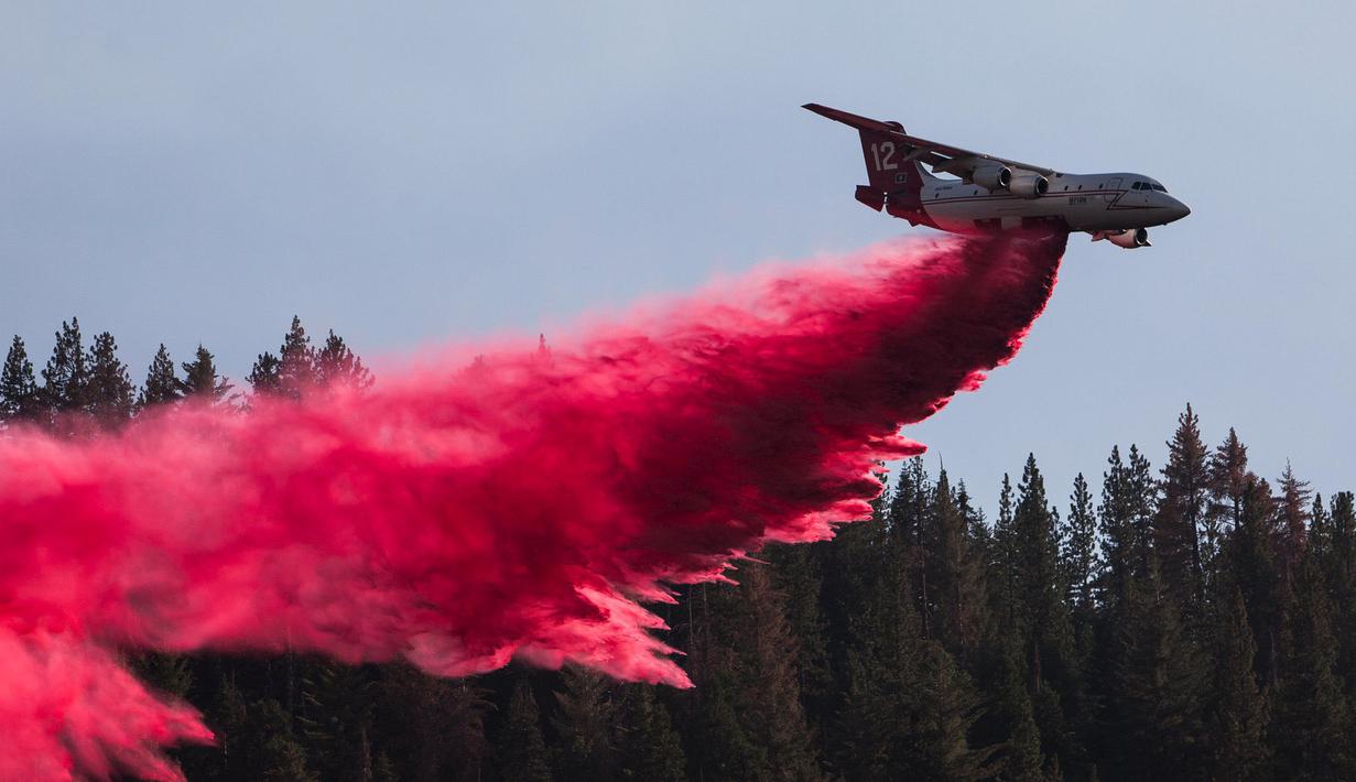  Sebuah pesawat pemadam kebakaran menyemprotkan sebuah cairan ke lokasi kebakaran hutan Nasional Sierra di California, AS, Jumat (21/8/2015). Kebakaran ini menciptakan kepulan asap hingga ketinggian ratusan meter ke angkasa. (REUTERS/Max Whittaker)