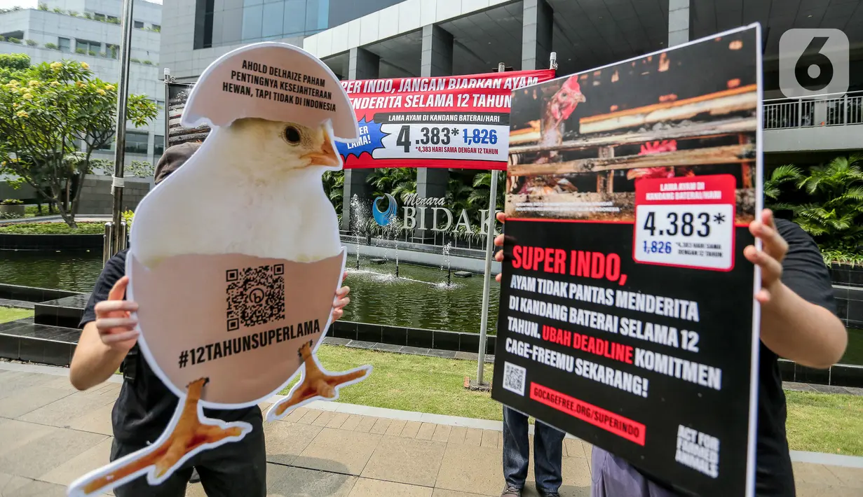 Ayam di peternakan kandang baterai dijejalkan dalam ruang yang sempit sehingga mereka tidak dapat merentangkan sayap sepenuhnya atau melakukan perilaku alami mereka, seperti bersarang, mandi debu, atau bertengger. (Liputan6.com/Faizal Fanani)