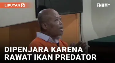 Pelihara 8 Ikan Predator, Kakek di Malang Dipenjara