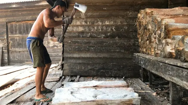Seorang pekerja di kilang sagu mengupas tual sagu untuk diolah menjadi sagu basah.
