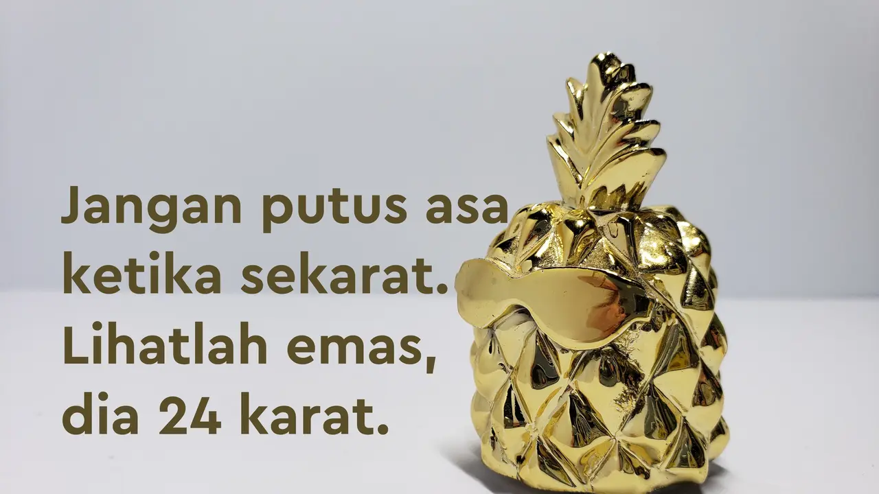 Foto kata-kata lucu