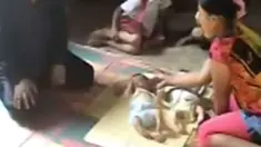 liputan6