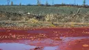 Genangan air di sekitar tepi sungai Daldykan berwarna merah darah akibat tercemar di Krasnoyarsk, Rusia, 8 September 2016. Sungai itu berubah menjadi merah karena tumpahan nikel yang hanyut dari pabrik nikel terbesar di dunia, Norilsk Nickel (AFP PHOTO)