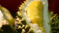 Ilustrasi buah durian. (Pexels.com/Maddog 229)