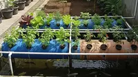 6 Desain Pertanian Terpadu yang Hemat Air dan Biaya Operasional, Sistem Tani Modal Efisien
