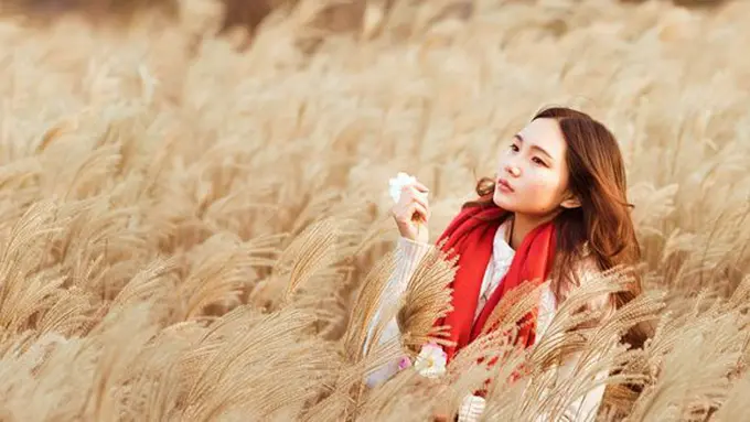 Ilustrasi./Copyright pixabay.com