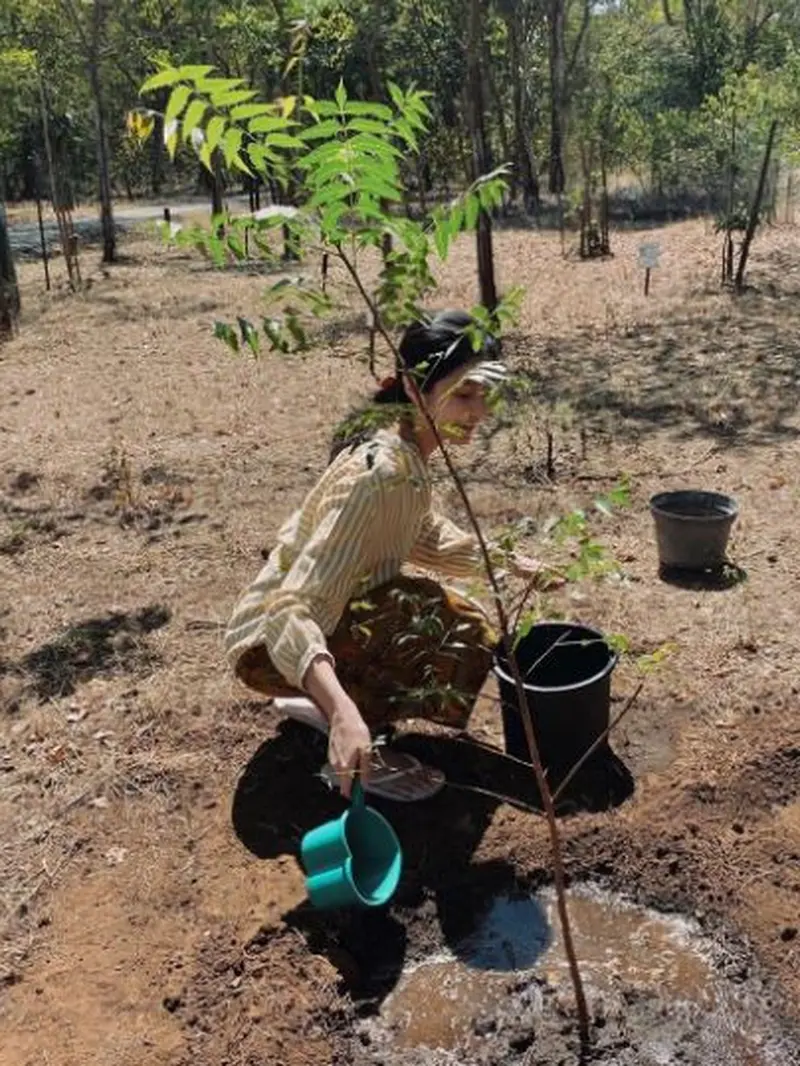 Tambah Usia, Puteri Indonesia Lingkungan 2020 Adopsi Pohon Mimba