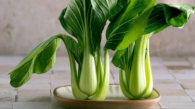 Bok Choy, Sayuran Hijau Cepat Panen yang Cocok untuk Kebun Rumah