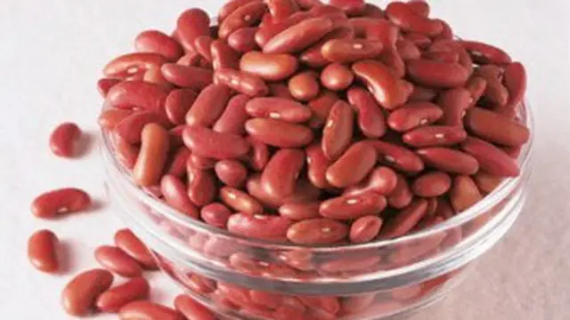Makanan Sehat Untuk Diet Mayo