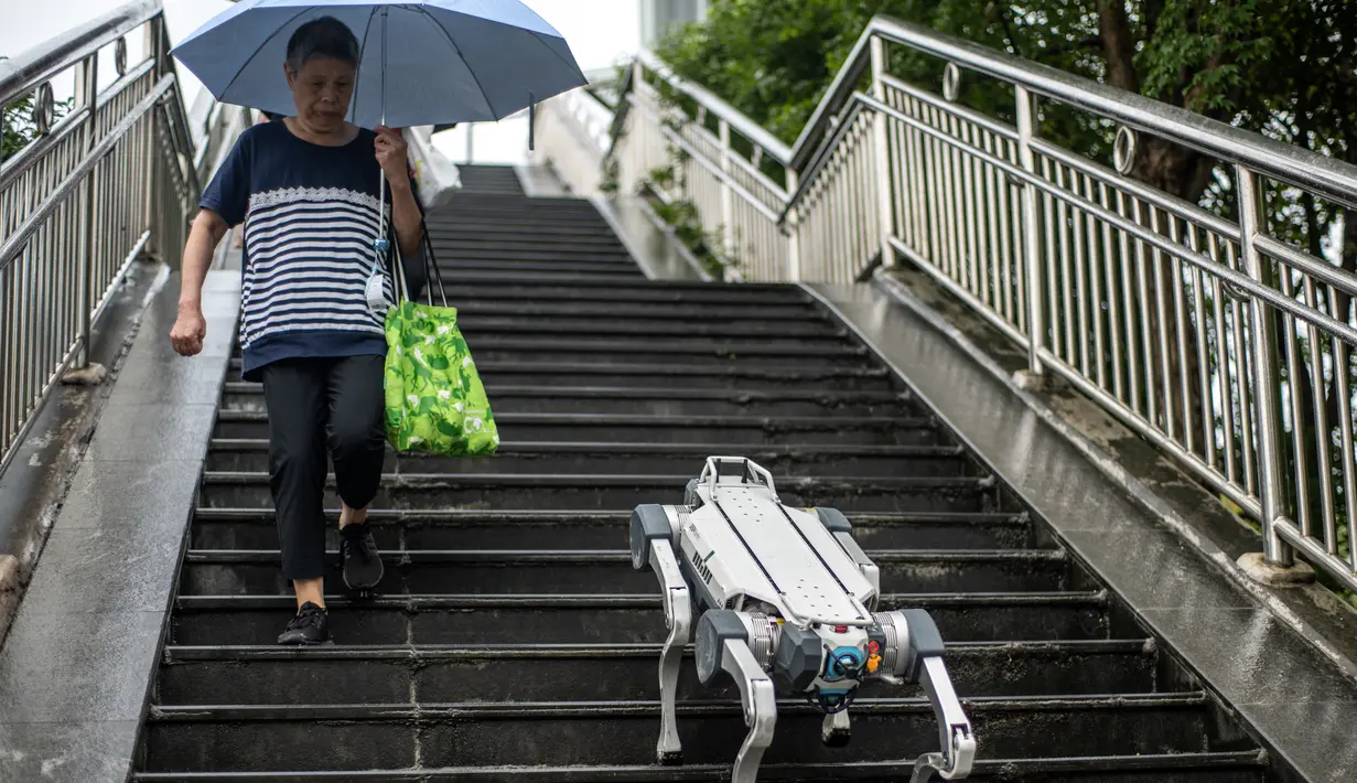 Foto yang diambil pada 22 September 2023 ini menunjukkan demonstrasi robot anjing X30 dari DEEP Robotics yang berjalan menuruni anak tangga di jalur pejalan kaki di kota tuan rumah Asian Games 2022, Hangzhou, di provinsi Zhejiang, China bagian timur. (Philip FONG / AFP)