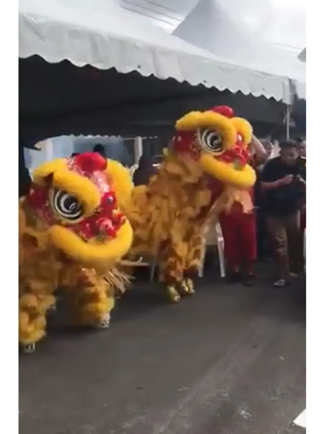 Resepsi Pengantin Muslim Tampilkan Barongsai