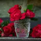 Ilustrasi bunga mawar merah (Sumber:Pixabay)