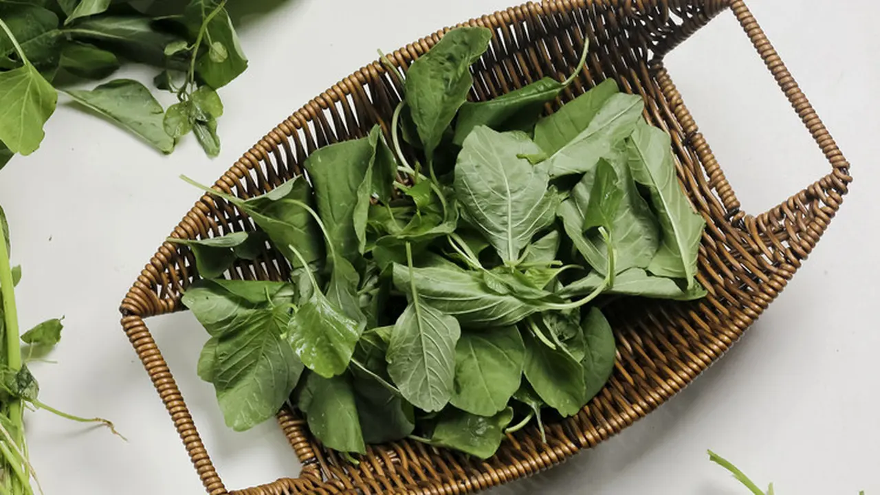 sayur bayam