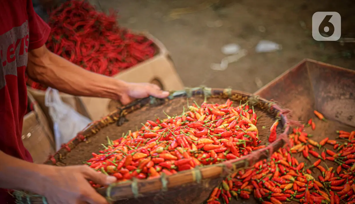 <p>Pedagang merapikan cabai rawit merah di Pasar Induk Kramat Jati, Jakarta, Senin (20/6/2021). Harga cabai rawit merah di pasar-pasar DKI Jakarta naik menjadi rata-rata Rp108.043 per kilogram (kg). Bahkan, di beberapa pasar harga cabai tembus Rp120 ribu per kg. (Liputan6.com/Faizal Fanani)</p>