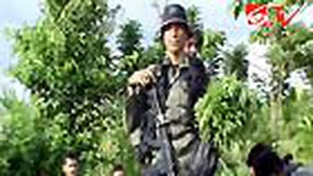 Polisi Gerebek Satu Hektare Ladang Ganja