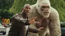 Aktor Dwayne Johnson alias The Rock berjalan bersama seekor gorila dalam adegan film Rampage. (Warner Bros via AP)
