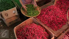 Pedagang tengah menata cabai dagangannya di Pasar Induk Kramat Jati, Jakarta, Selasa (24/11). Harga cabai, baik cabai merah keriting dan rawit, mengalami kenaikan di pasar tradisional. (Liputan6.com/Angga Yuniar)