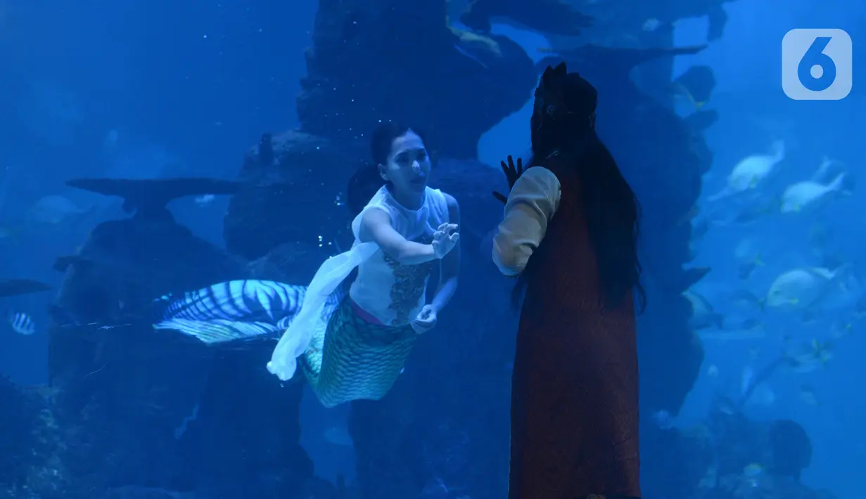 Penyelam berkostum putri duyung berenang dalam Jakarta Aquarium dan Safari, Sabtu (19/12/2020). Jakarta Aquarium dan Safari menghias pohon Natal dari bahan daur ulang mulai 20-27 Desember 2020 untuk memperingati perayaan Natal. (merdeka.com/Imam Buhori)