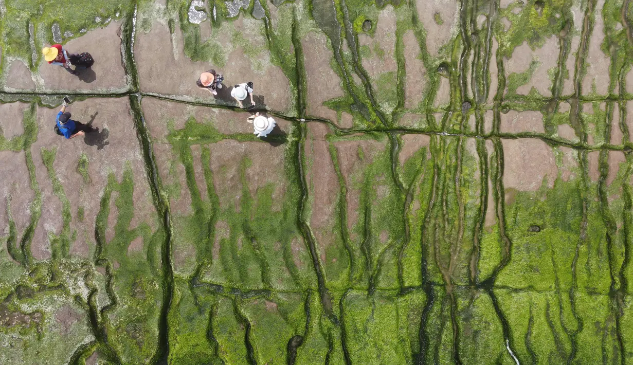 Pemandangan dari udara menunjukkan turis lokal mengunjungi Laomei Green Reef di Distrik Shimen Kota New Taipei (12/4/2022). Terletak tepat di pinggiran Laomei, sebuah desa nelayan kecil di Distrik Shimen New Taipei City, Laomei Reef adalah salah satu tempat wisata yang menakjubkan. (AFP/Sam Yeh)