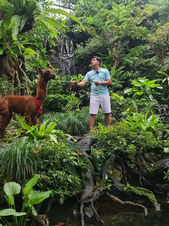 7 Potret Irfan Hakim dengan Alpaca Kesayangannya, Bikin Netizen Gemas