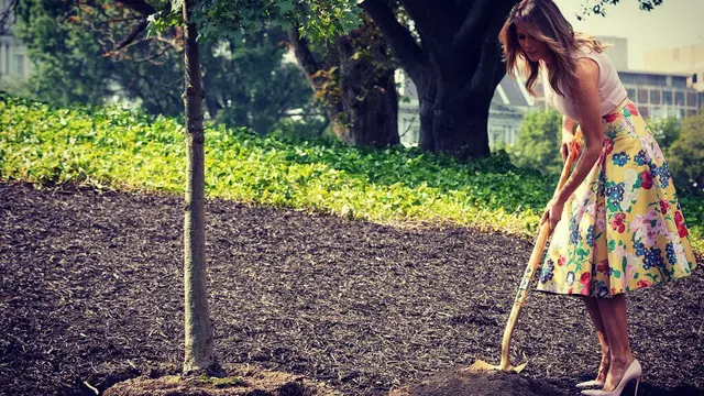 Selain itu, warganet pun tak sedikit yang menduga jika Melania Trump melakukan operasi plastik tersebut, agar memiliki bentuk payudara yang saa dengan Stormy Daniels, seorang bintang porno yang mengklain telah menjadi selingkuhan Donald Trump.