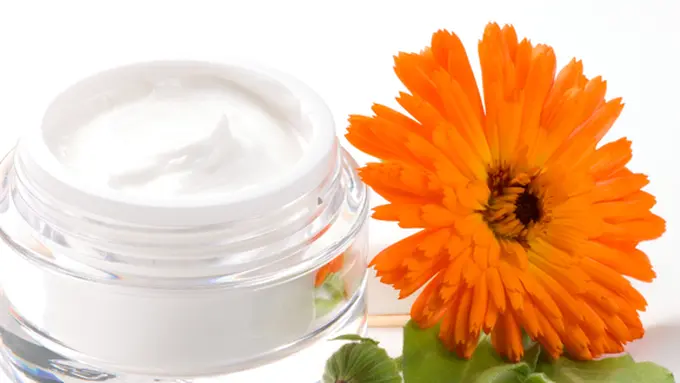 (c) shutterstock.com