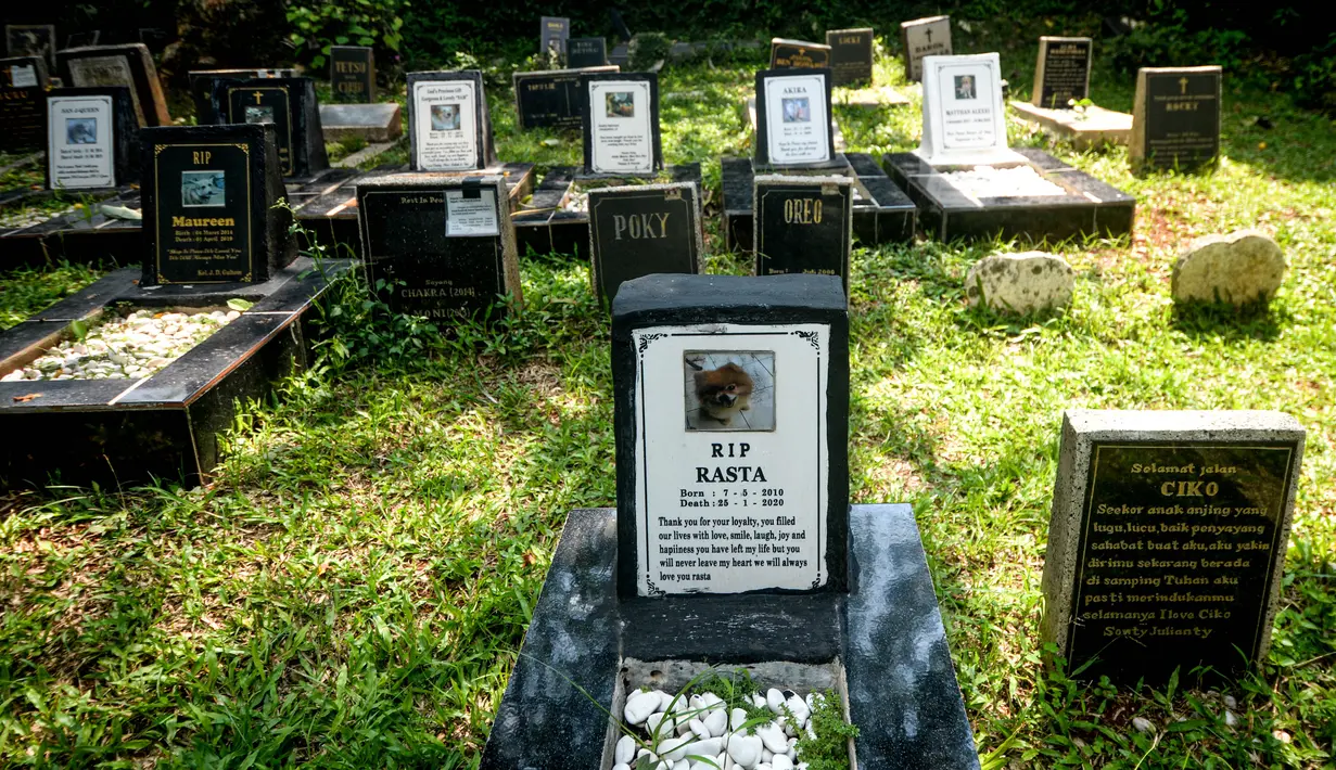 Kuburan hewan di Rumah Sakit Hewan Jakarta (RSHJ) di Ragunan, Jakarta (22/9/2020). Didirikan pada 1993, RSHJ merupakan salah satu rumah sakit hewan tertua di Indonesia. (Xinhua/Agung Kuncahya B.)