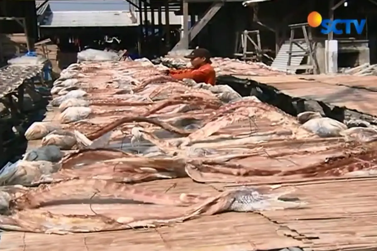Garam Langka, Produksi Pengeringan Ikan Turun 70 Persen