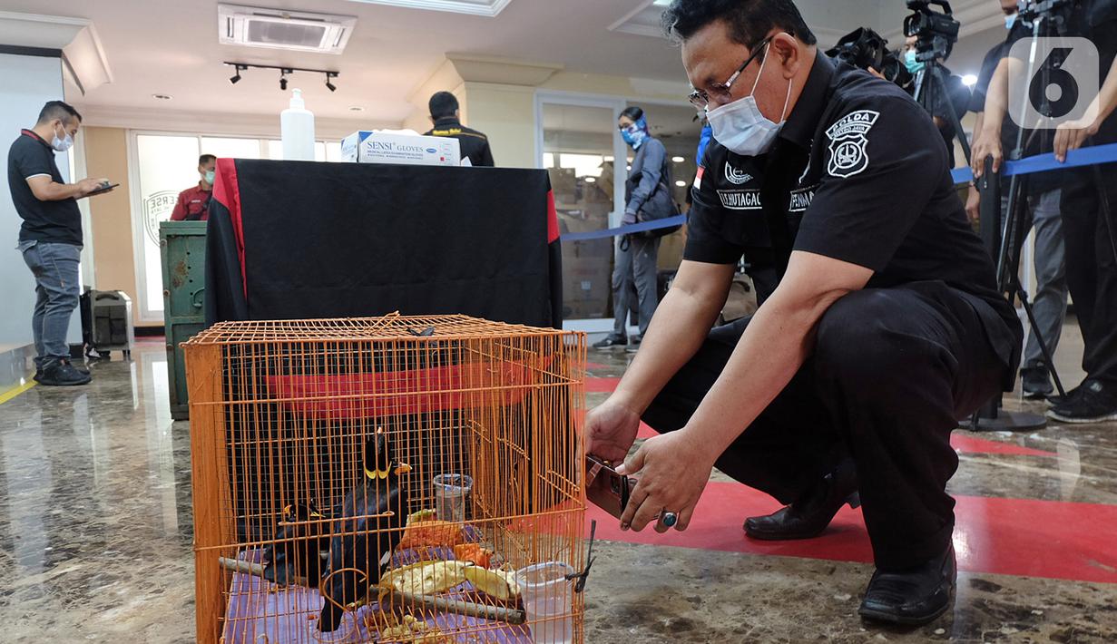 Foto Polda Metro Bongkar Kasus Perdagangan Satwa Dilindungi News Liputan6 Com