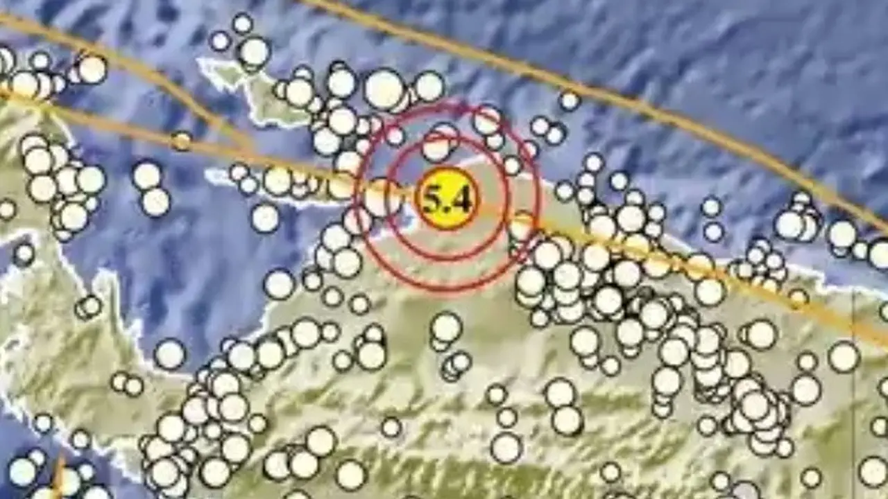 gempa papua