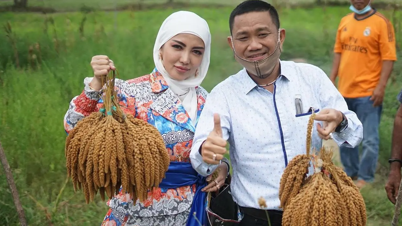 7 Gaya Bella Shofie Panen Padi Hotong di Pulau Buru Ini Jadi Sorotan