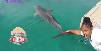 Lumba-lumba Juga Ikut Mannequin Challenge