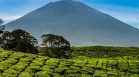 Pendakian Gunung Kerinci dibatasi setelah ada semburan awan hitam (Liputan6.com/Bangun Santoso) 