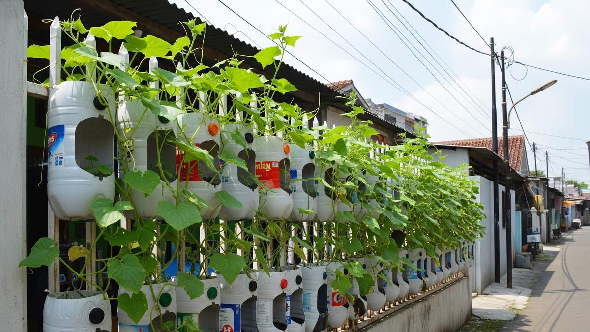 5 Ide Kebun Timun Vertikal dari Galon Bekas yang Cocok untuk Halaman Sempit, Tetap Estetik
