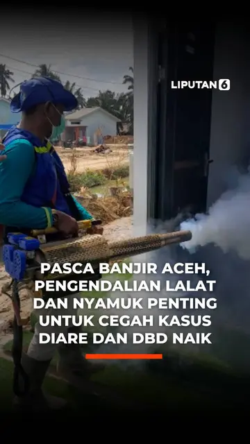 Pasca Banjir Aceh, Pengendalian Lalat dan Nyamuk Penting untuk Cegah Kasus Diare dan DBD Naik