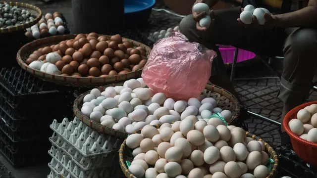 Kaya Vitamin dan Mineral